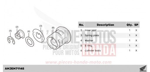 ELEMENT RETROVISEUR NSS750R de 2024